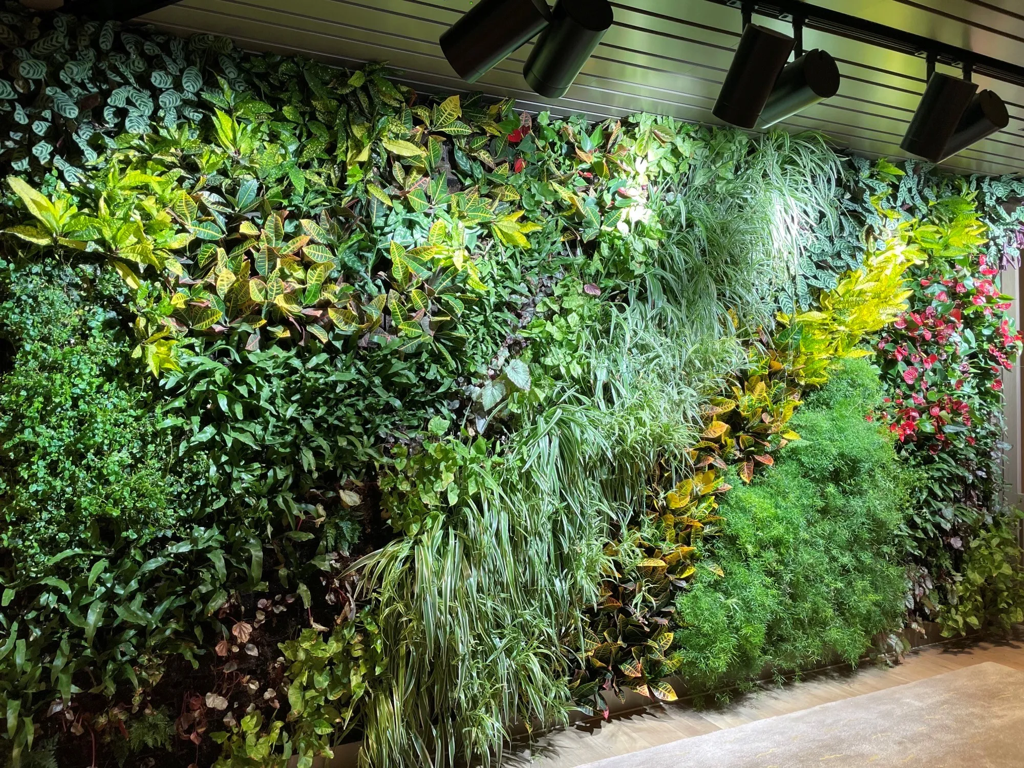 Lush vertical garden wall with diverse green plants and red berries
