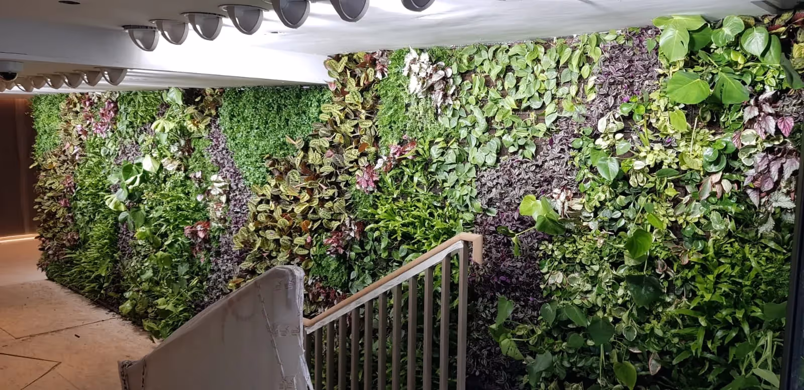 Lush green living wall with diverse plants and staircase