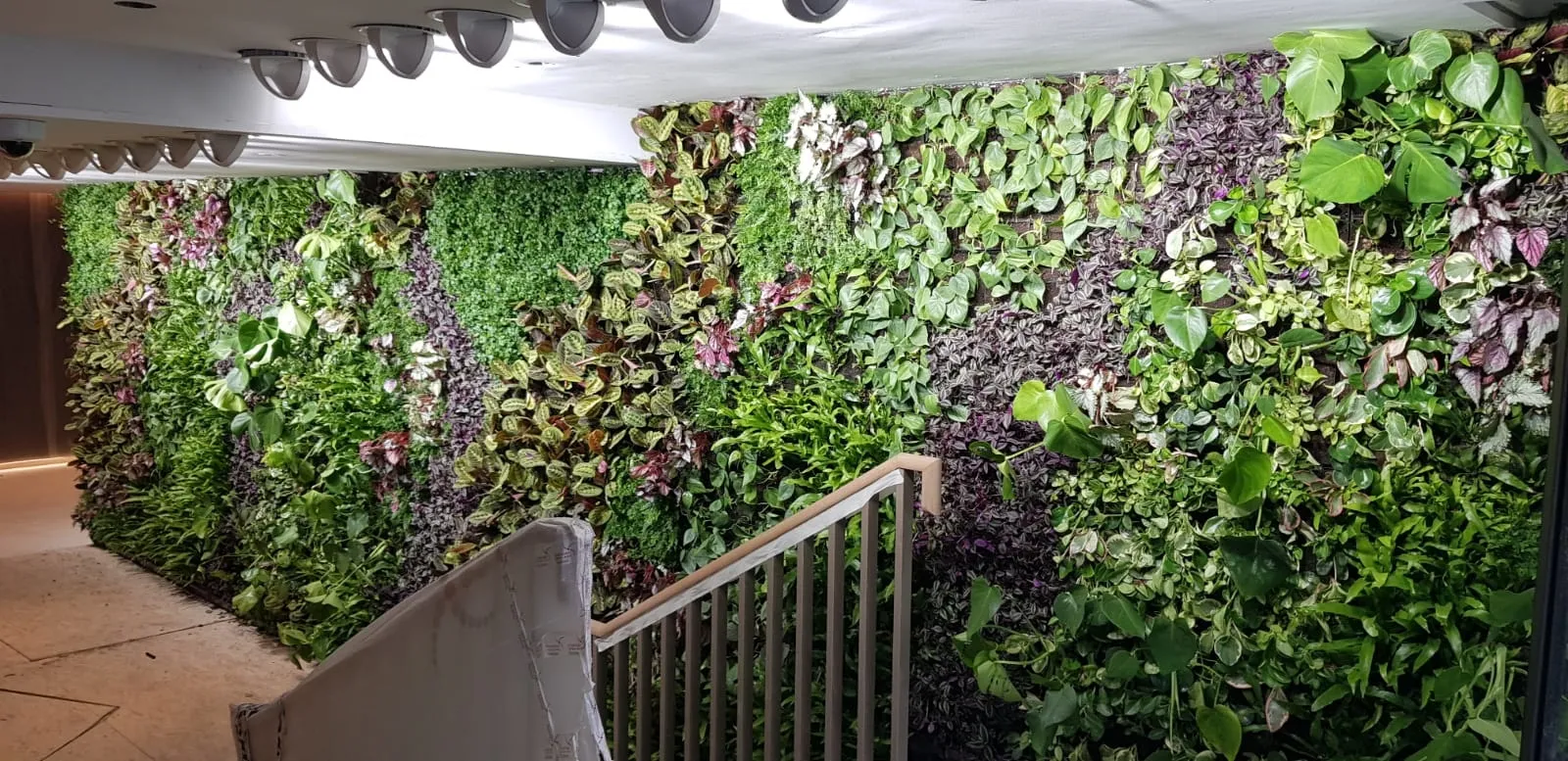 Lush green living wall with diverse plants and staircase