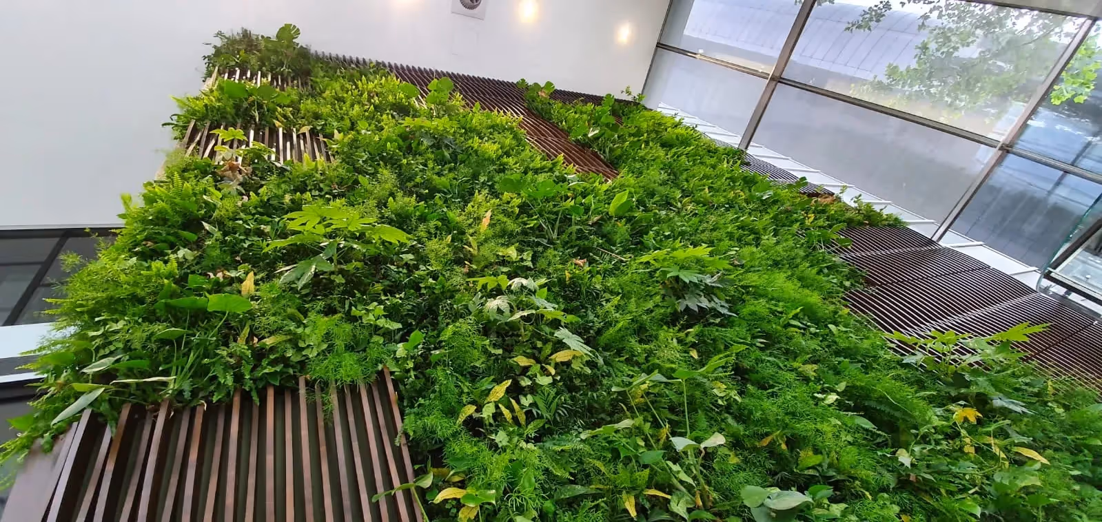 Lush vertical garden with diverse green plants inside modern glass building