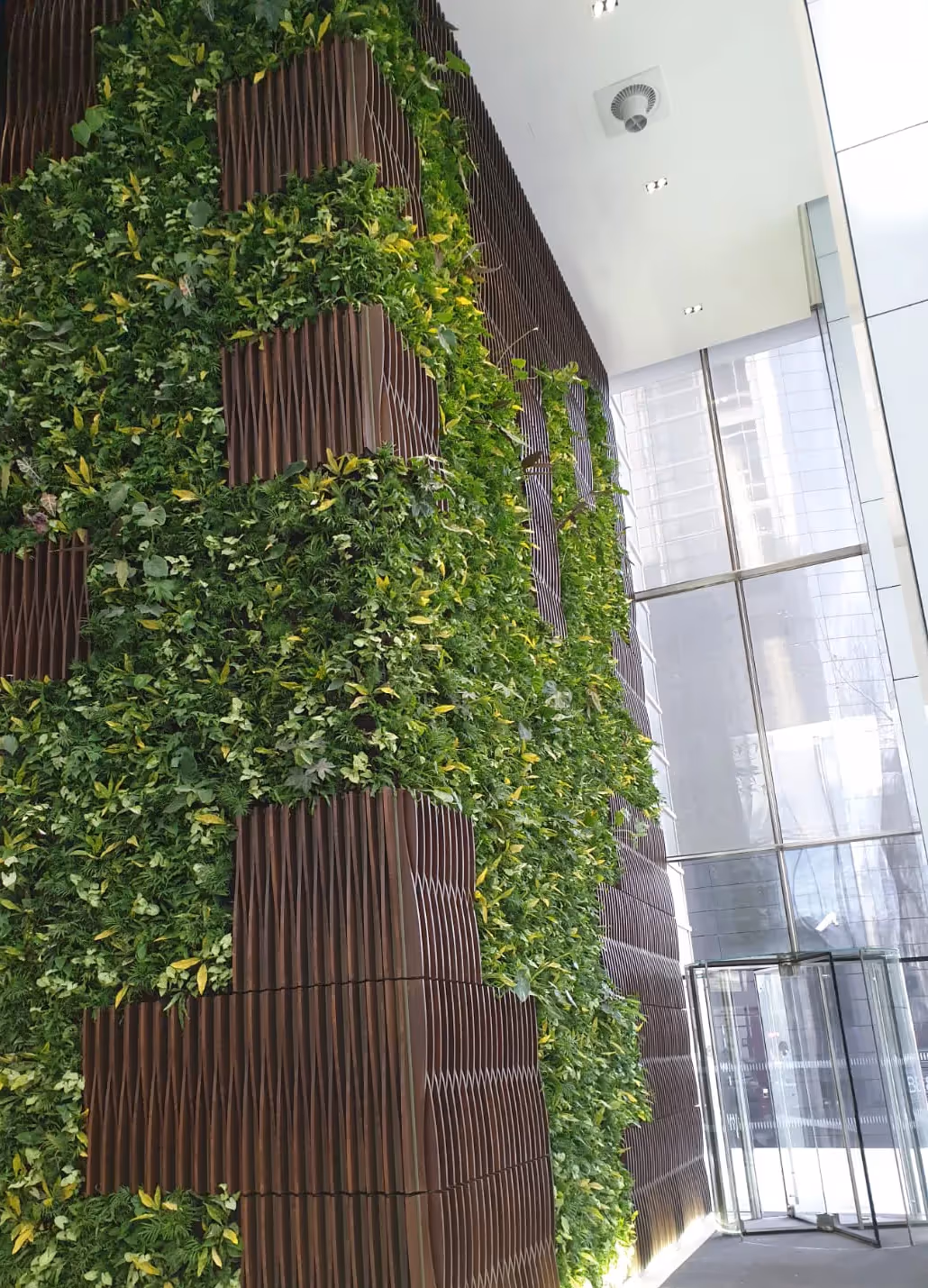 Vertical garden with green plants on brown panels in modern glass building