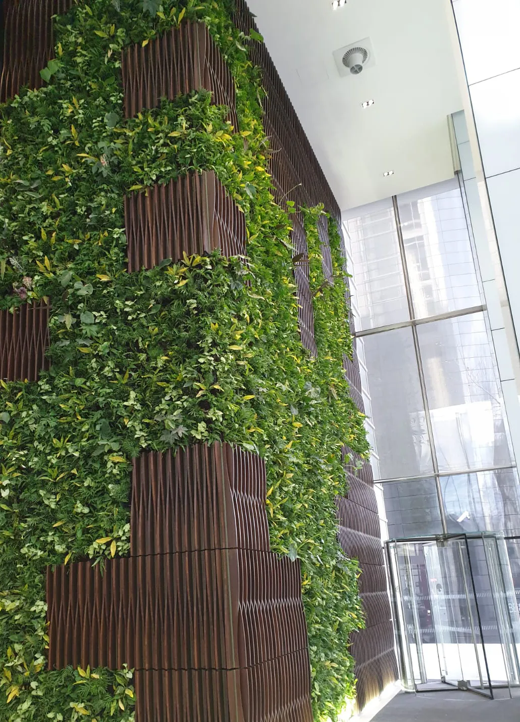 Vertical garden with green plants on brown panels in modern glass building