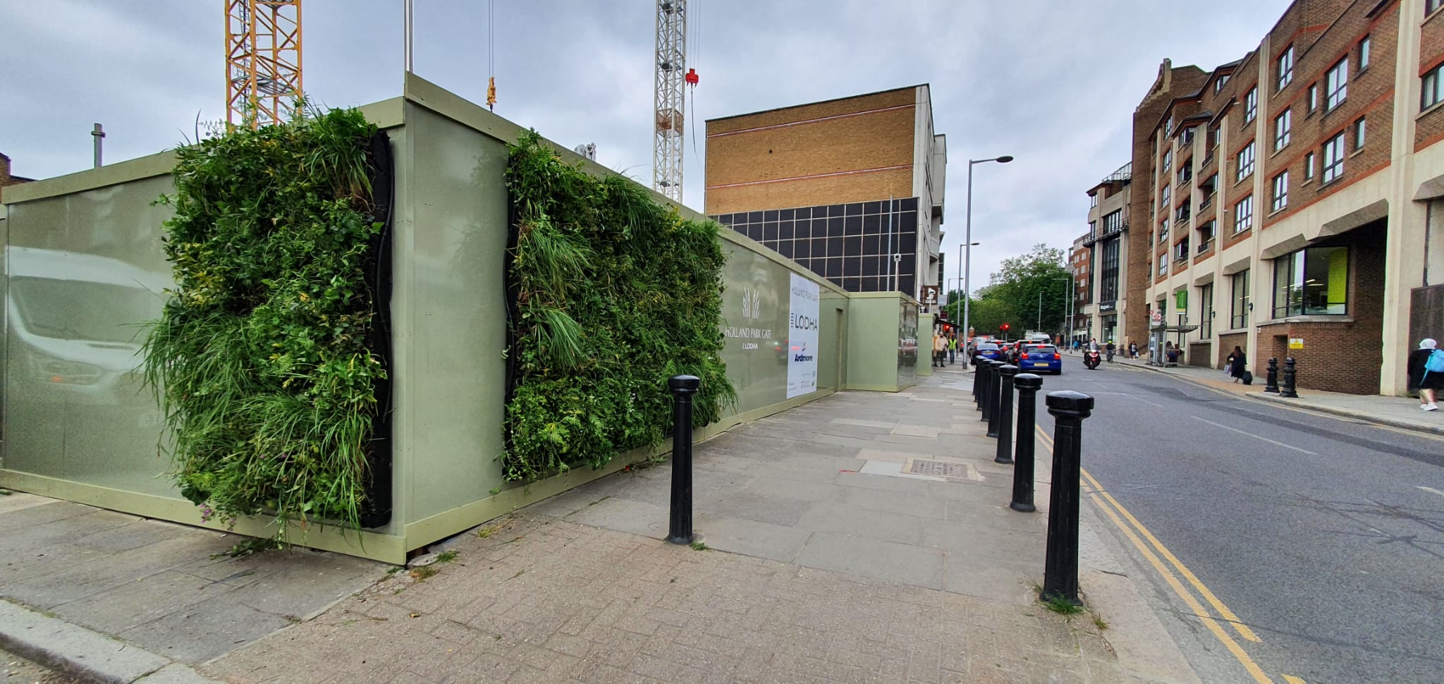 Green living wall on construction site with urban street and buildings