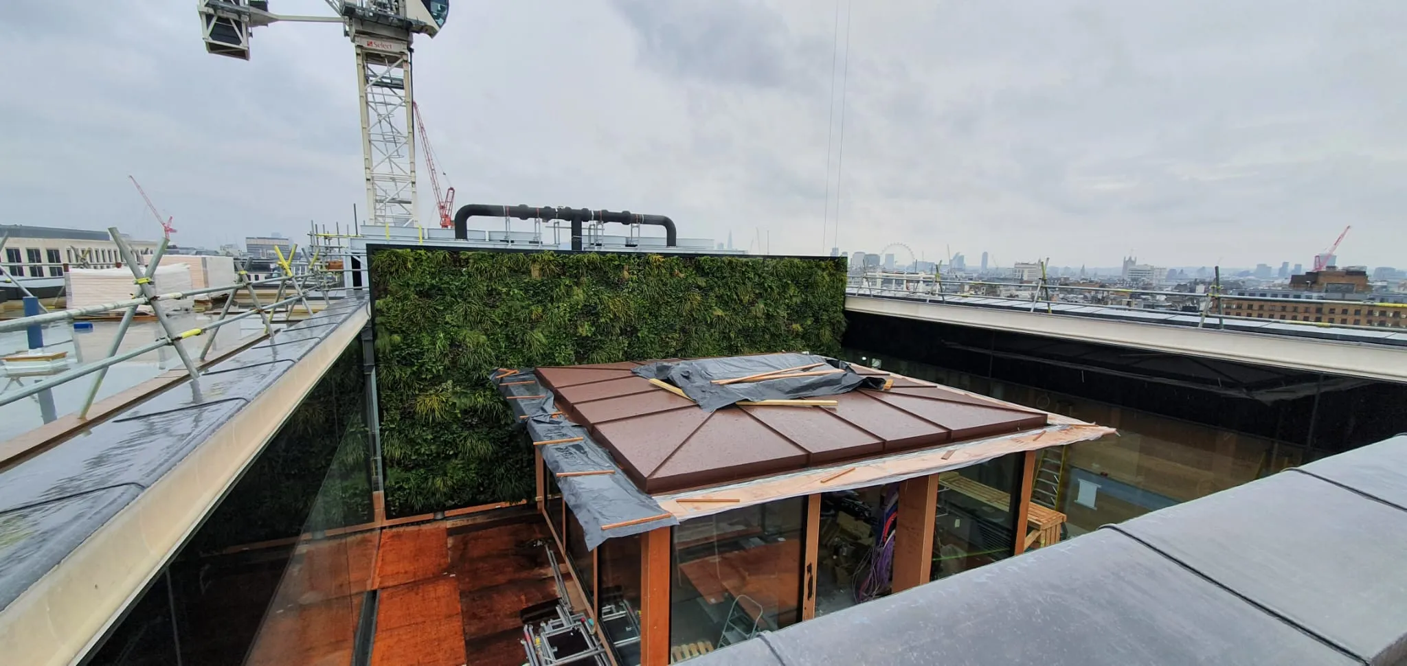 Rooftop construction with green wall, crane, and city skyline in background