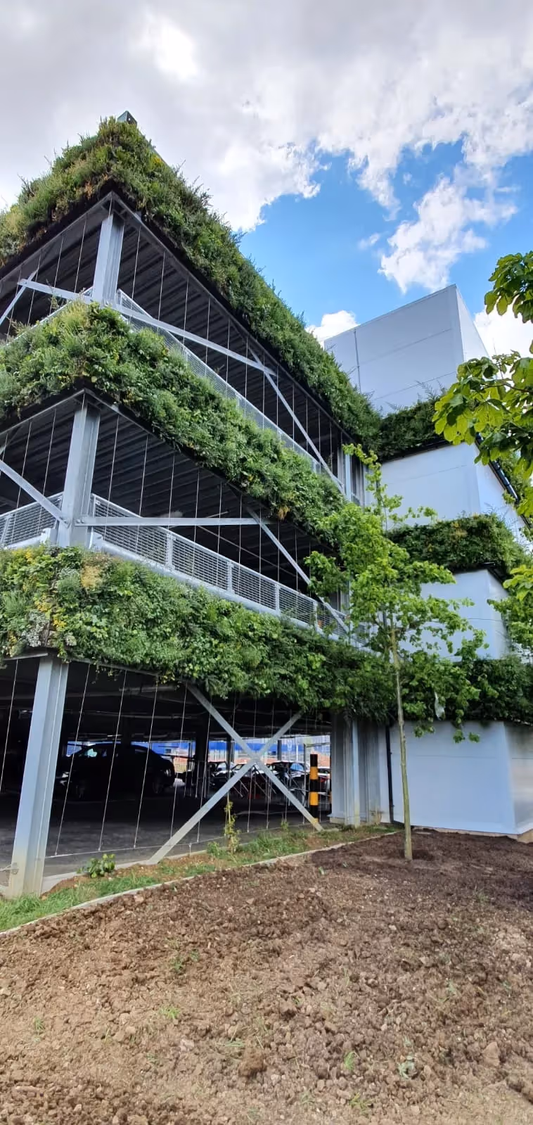 Modern building with green living walls and vertical garden architecture
