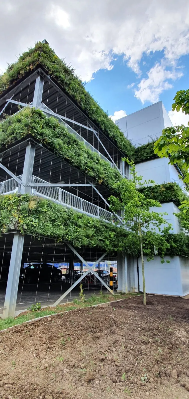 Modern building with green living walls and vertical garden architecture