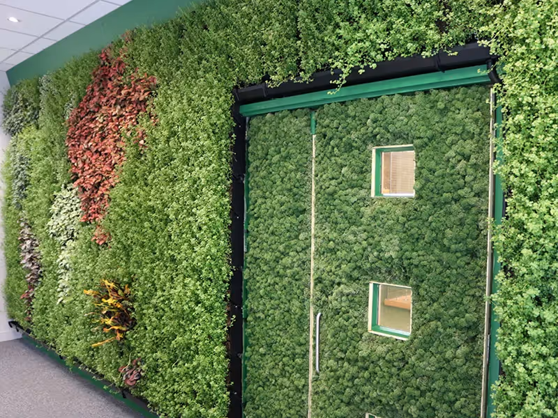 Green living wall with windows and diverse plant textures and colors