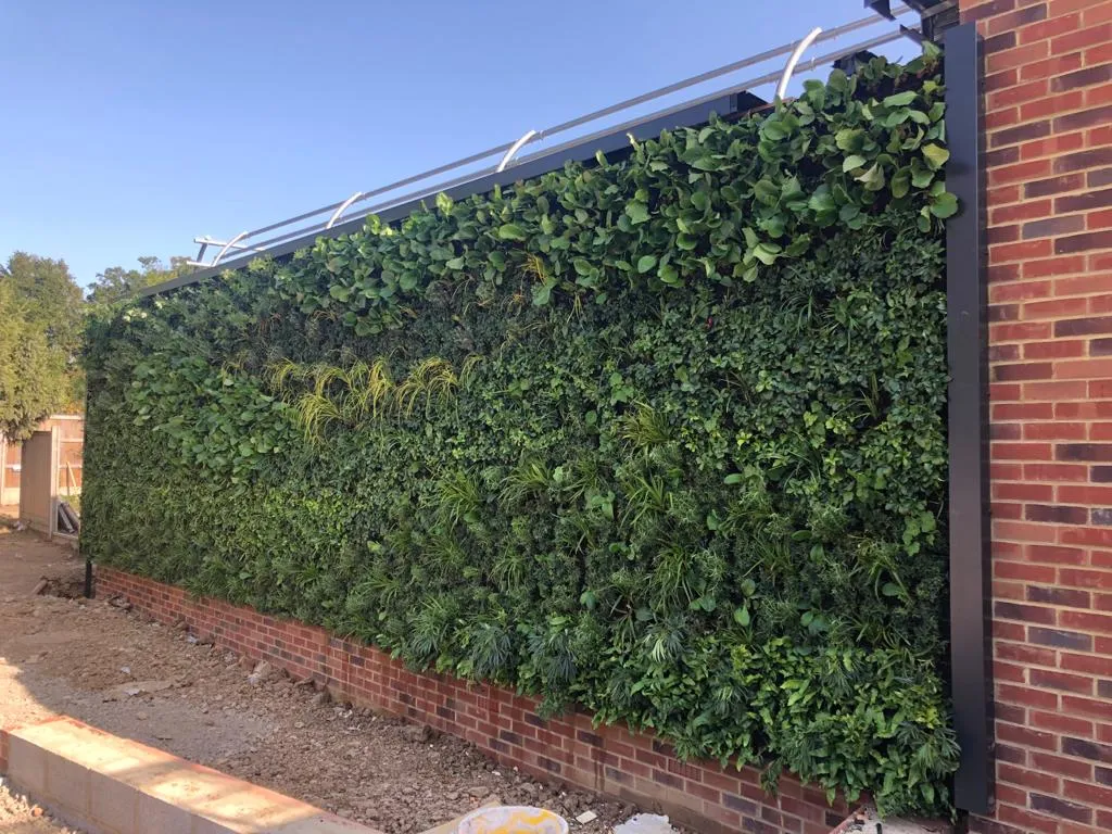 Lush green vertical garden wall mounted on brick with metal frame