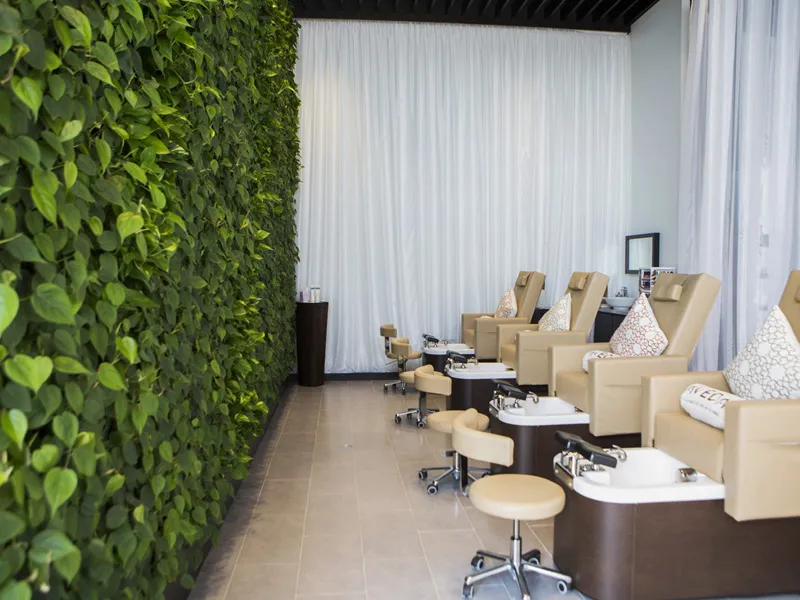 Green wall in modern spa salon with beige pedicure chairs