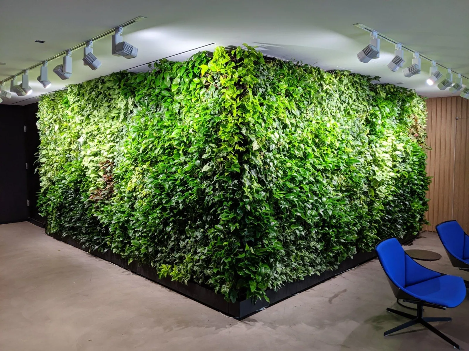 Large green living wall with lush plants in modern indoor space