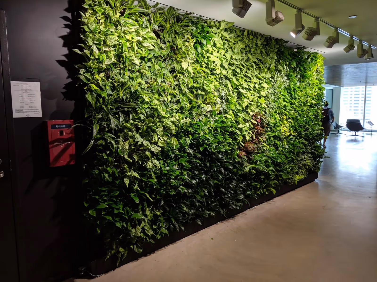 Lush green living wall with various plants in modern indoor space