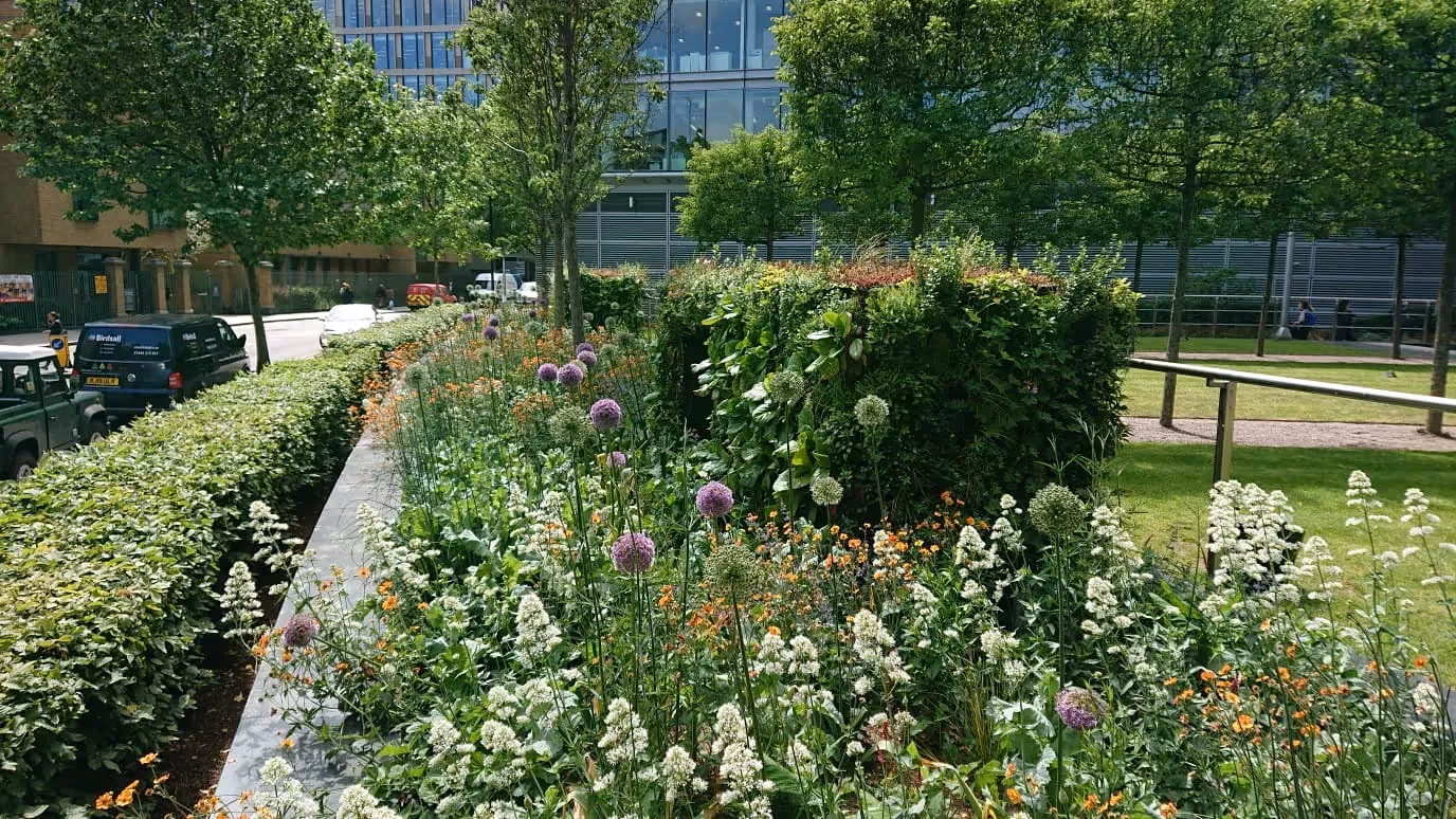 Urban garden with colorful flowers, trees, and modern building in background