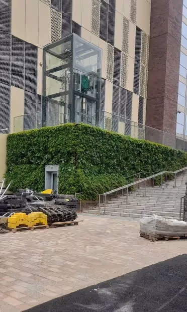 Green wall with glass elevator near stone stairs and construction materials