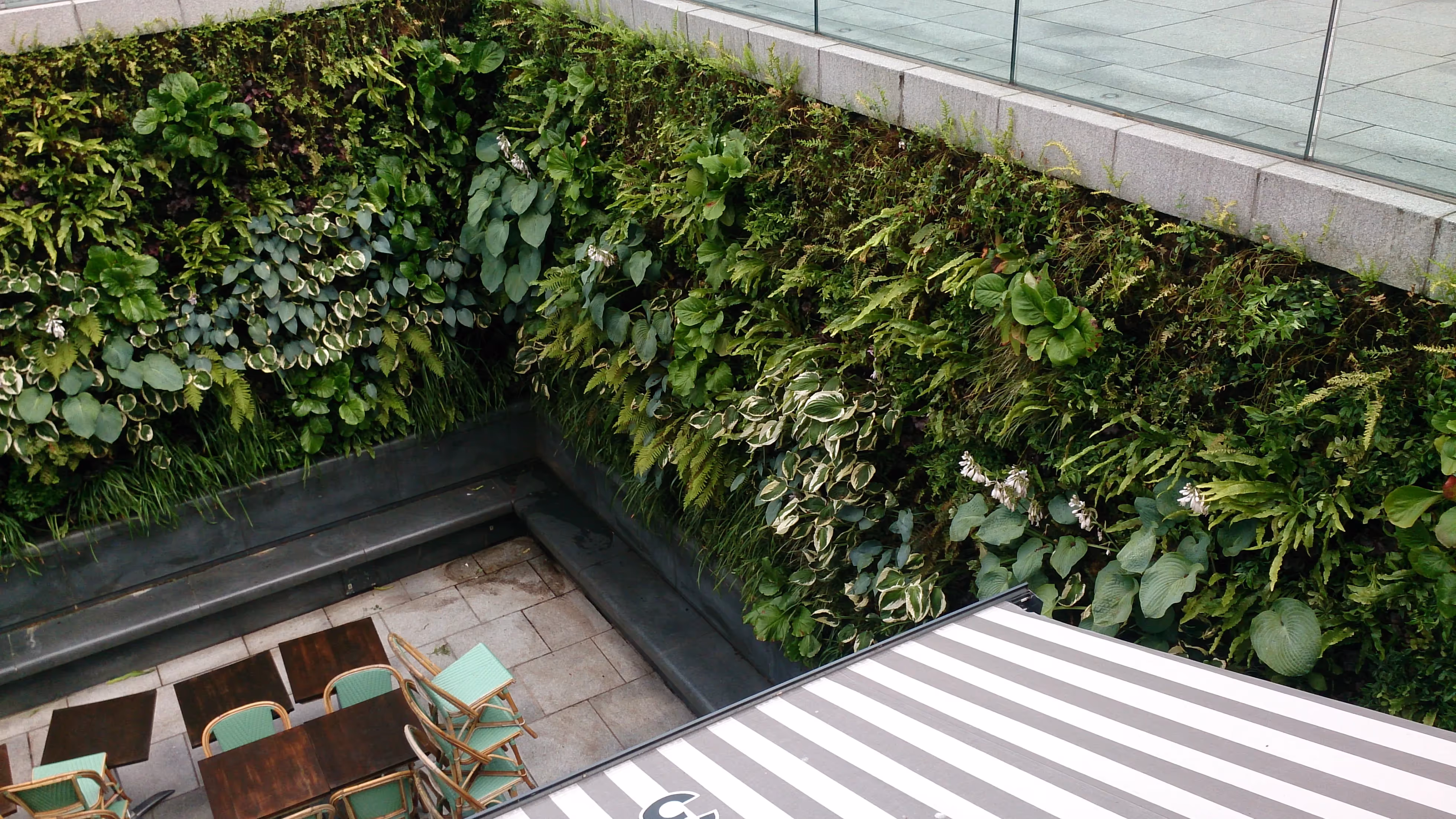 Lush green vertical garden wall surrounding outdoor seating area