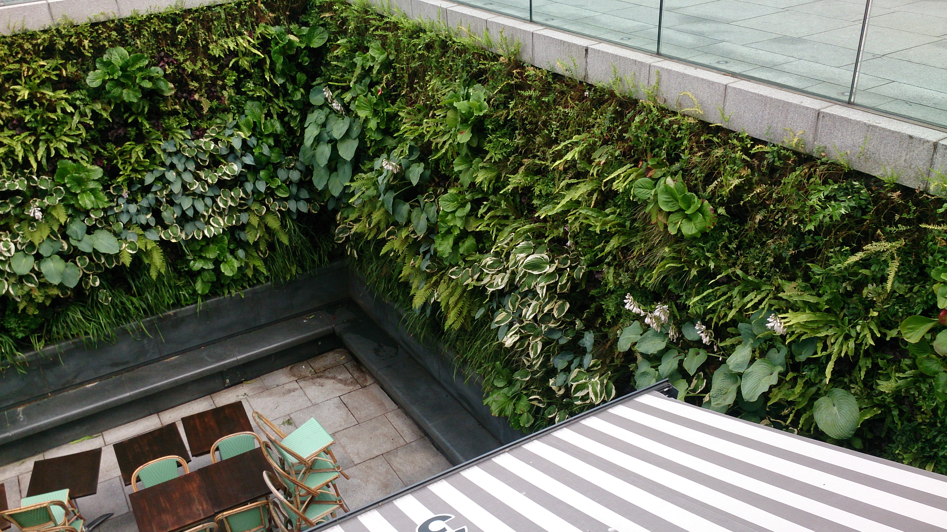 Lush green vertical garden wall surrounding outdoor seating area