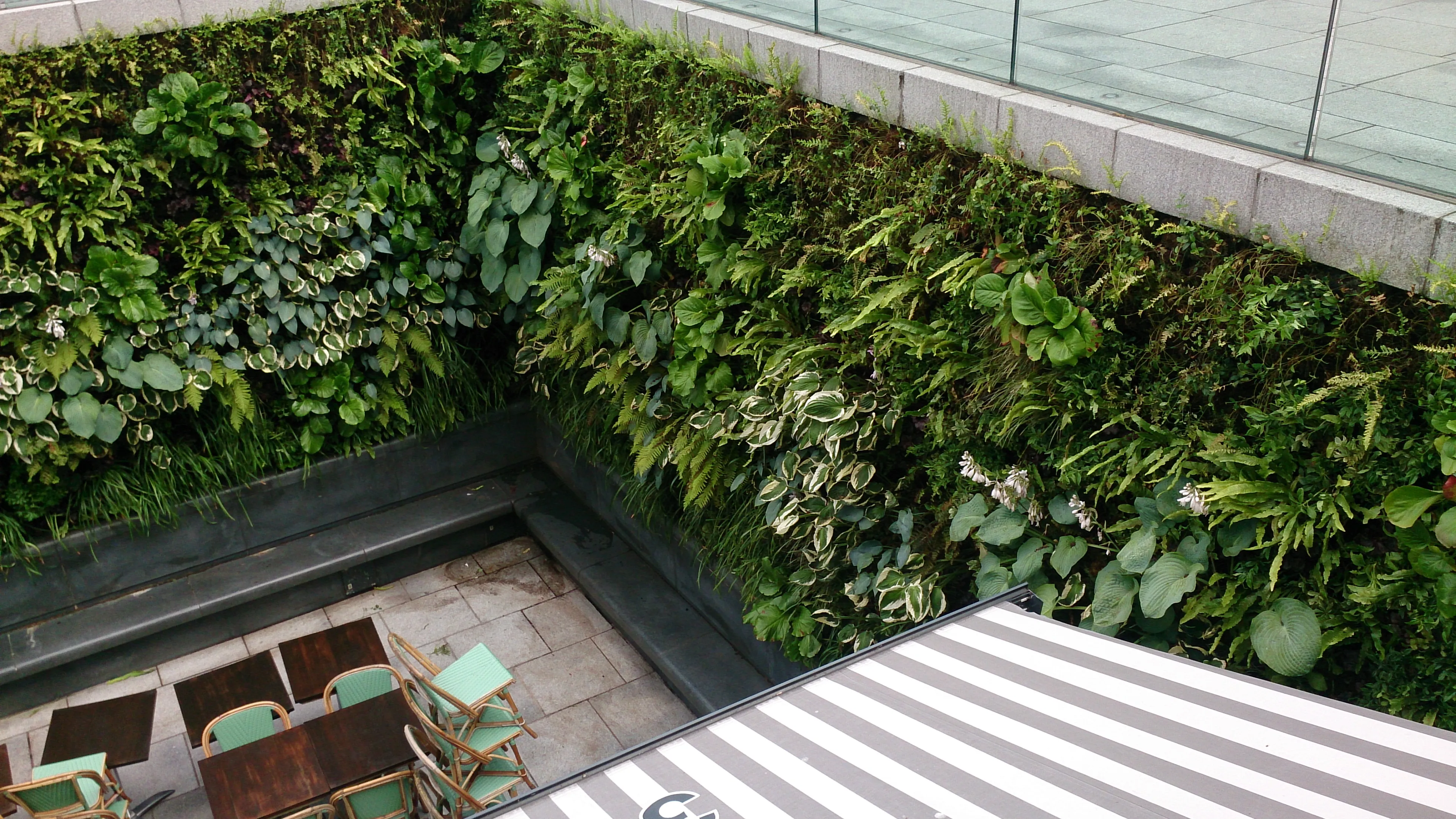 Lush green vertical garden wall surrounding outdoor seating area