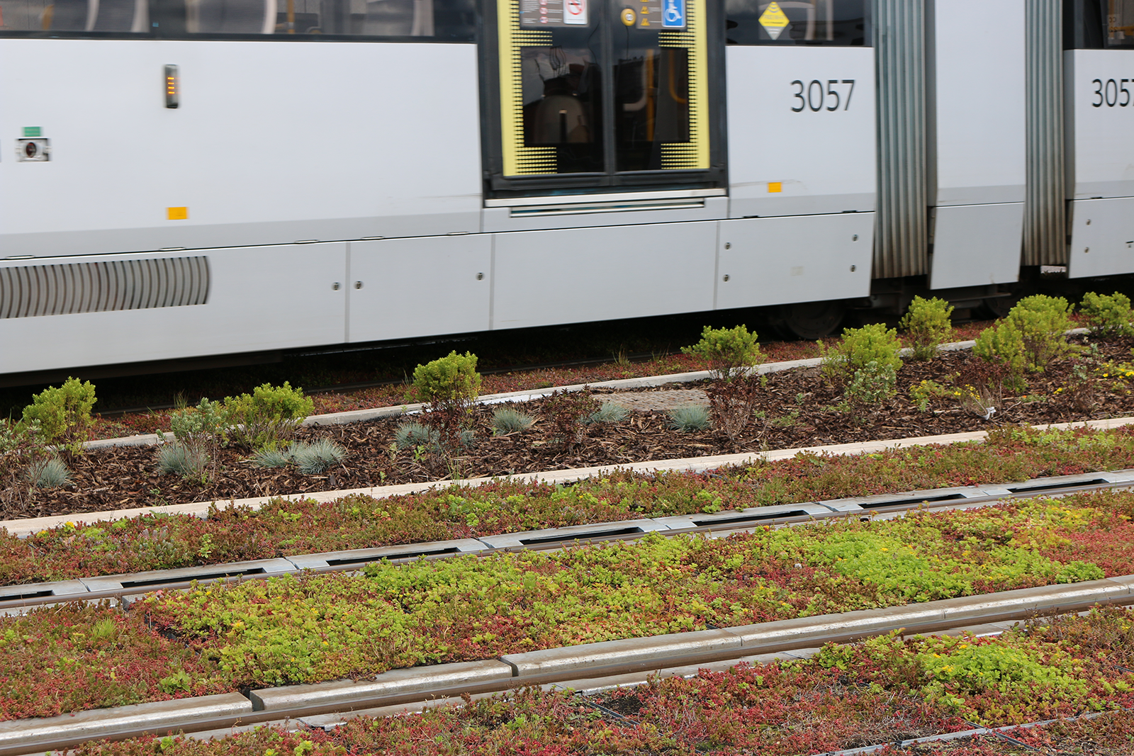 White train on tracks with green roof and landscaped ground covering