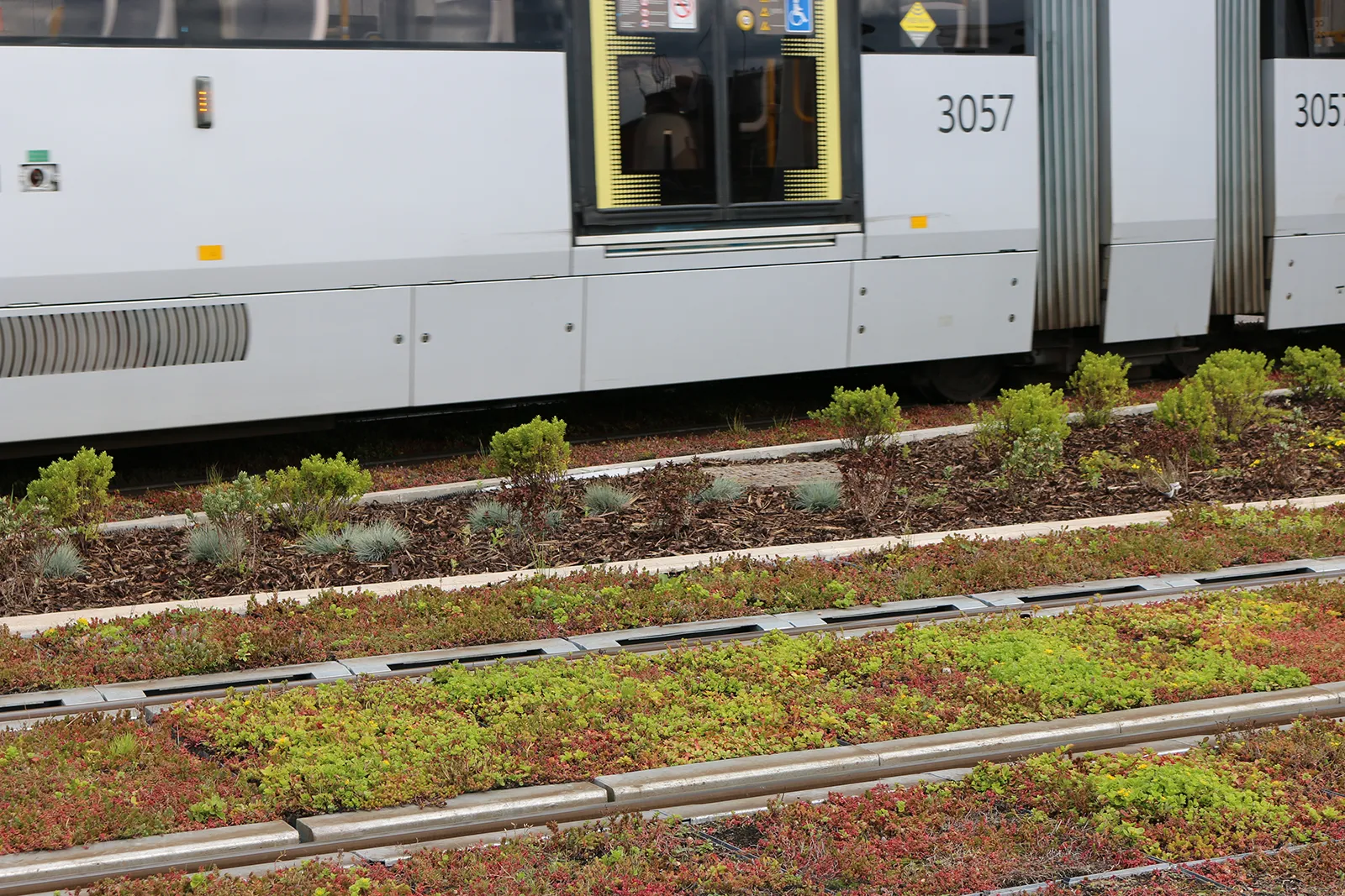 White train on tracks with green roof and landscaped ground covering
