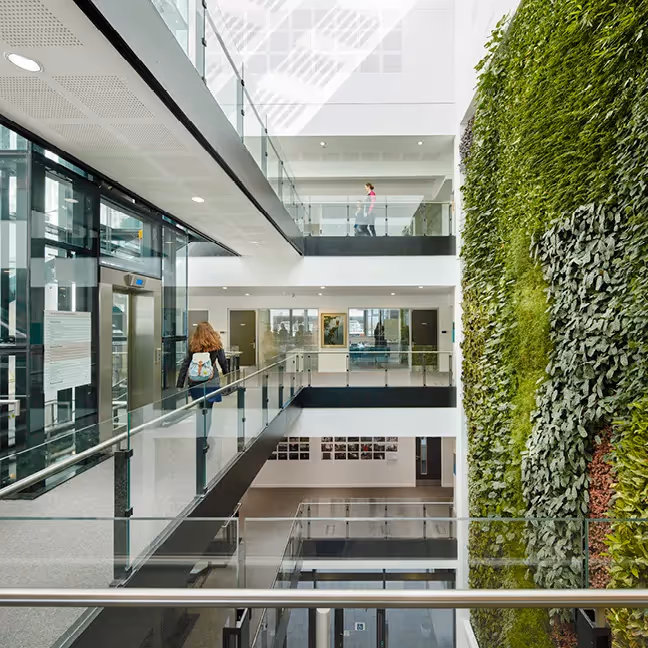 Modern building interior with glass walkways, green wall, and multiple levels