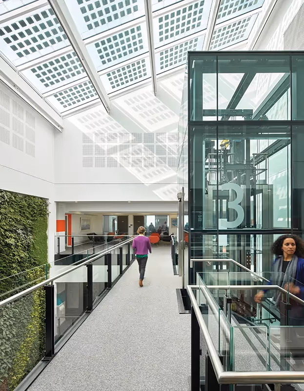 Modern glass interior with green wall, walkway, and transparent elevator