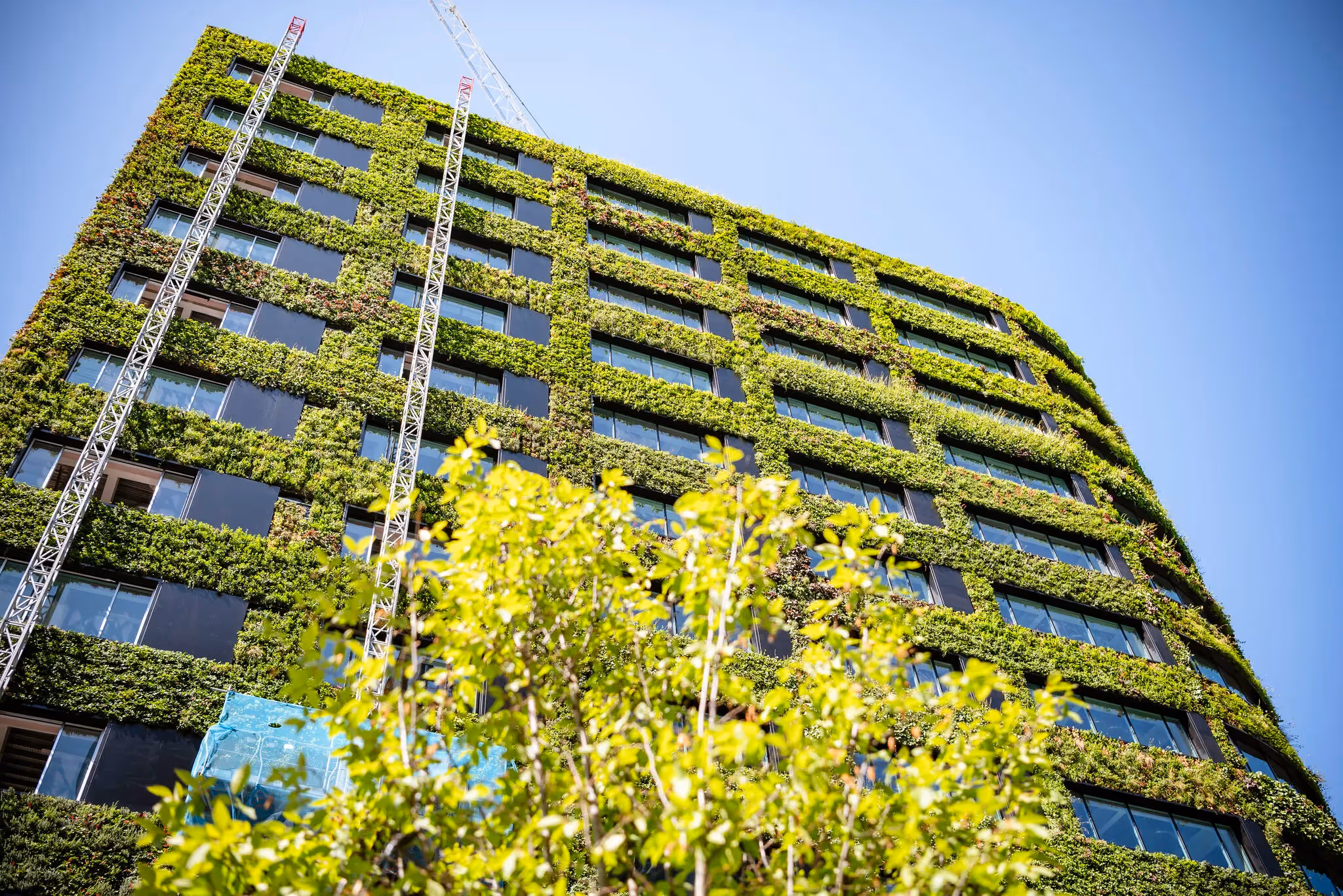 Green-covered modern building with vertical garden and construction crane