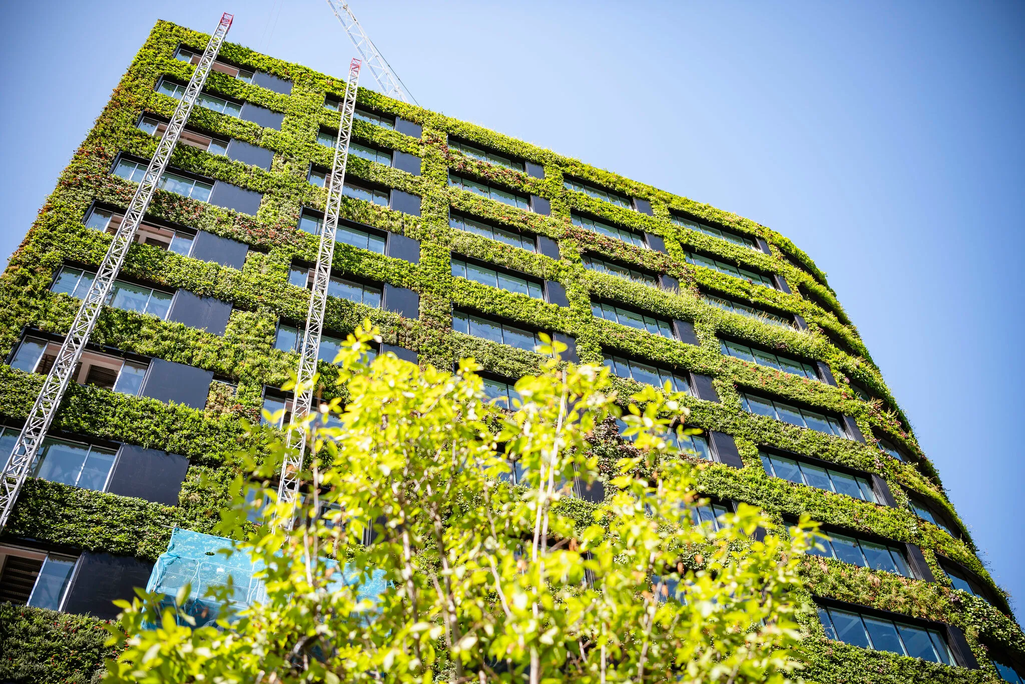 Green-covered modern building with vertical garden and construction crane