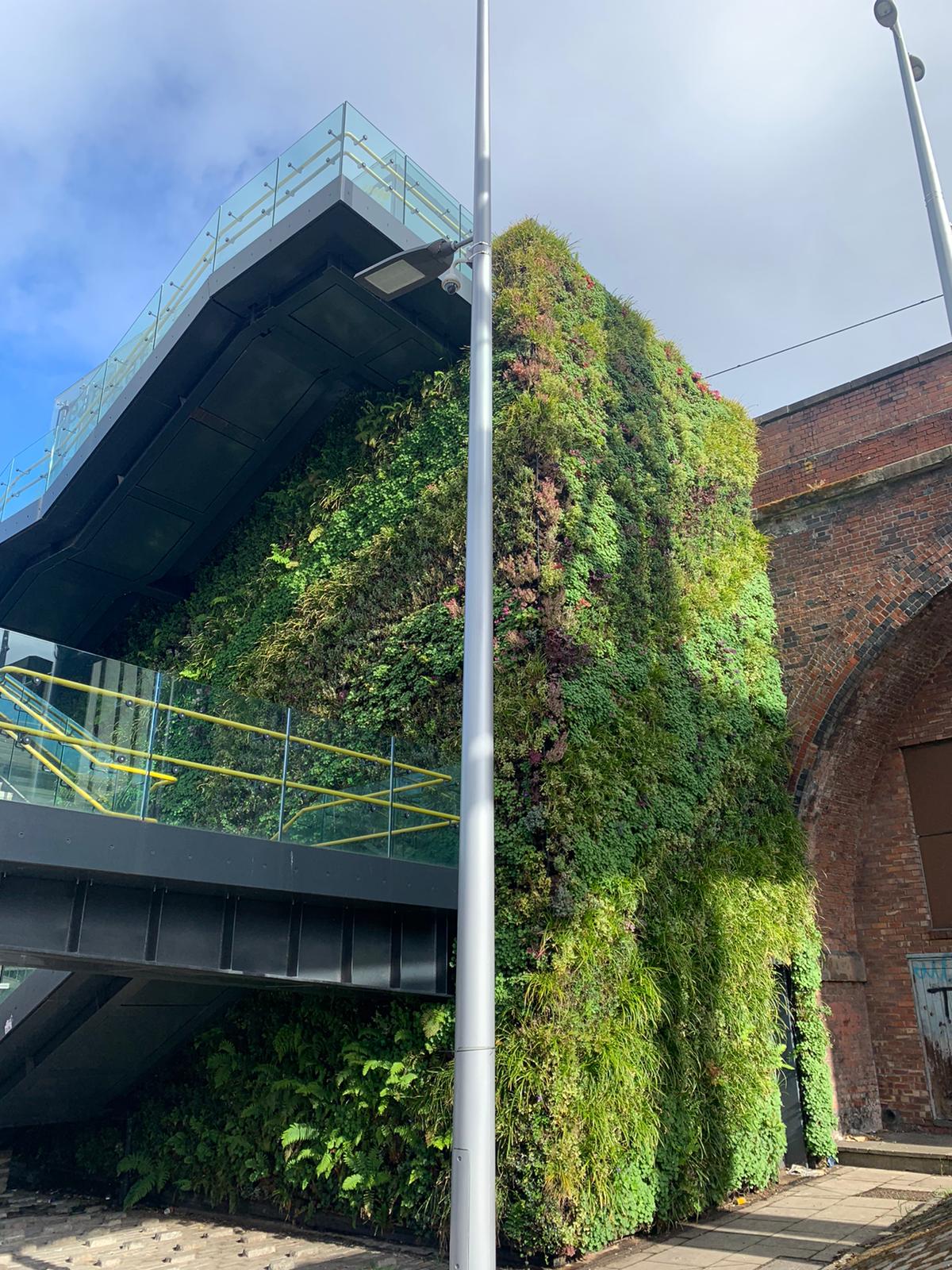 Green living wall covering modern building with glass and brick architecture
