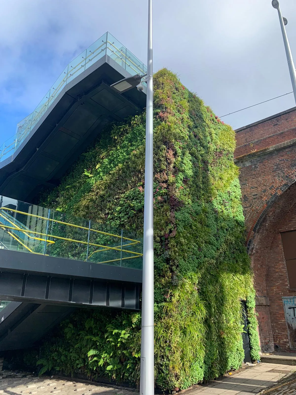 Green living wall covering modern building with glass and brick architecture