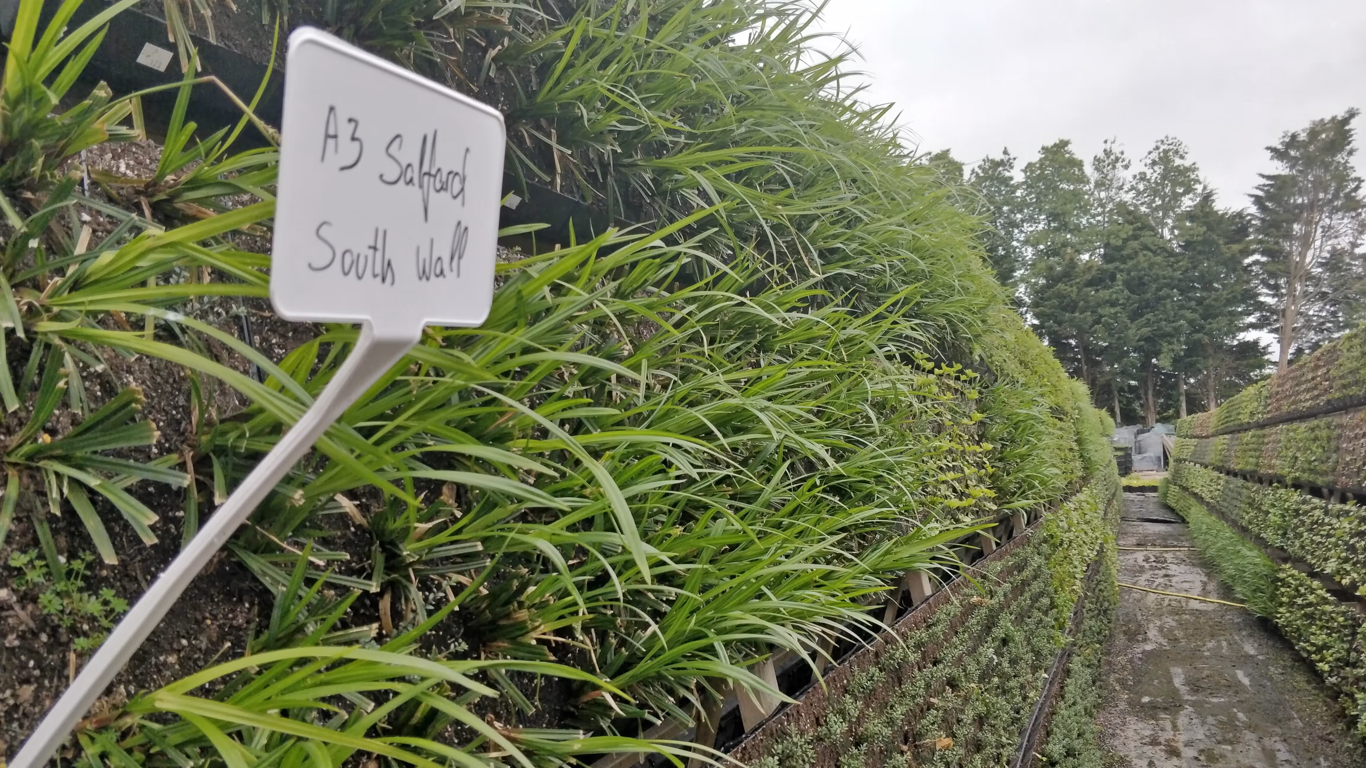 A3 Salford South Wall sign among lush green grass and garden pathway