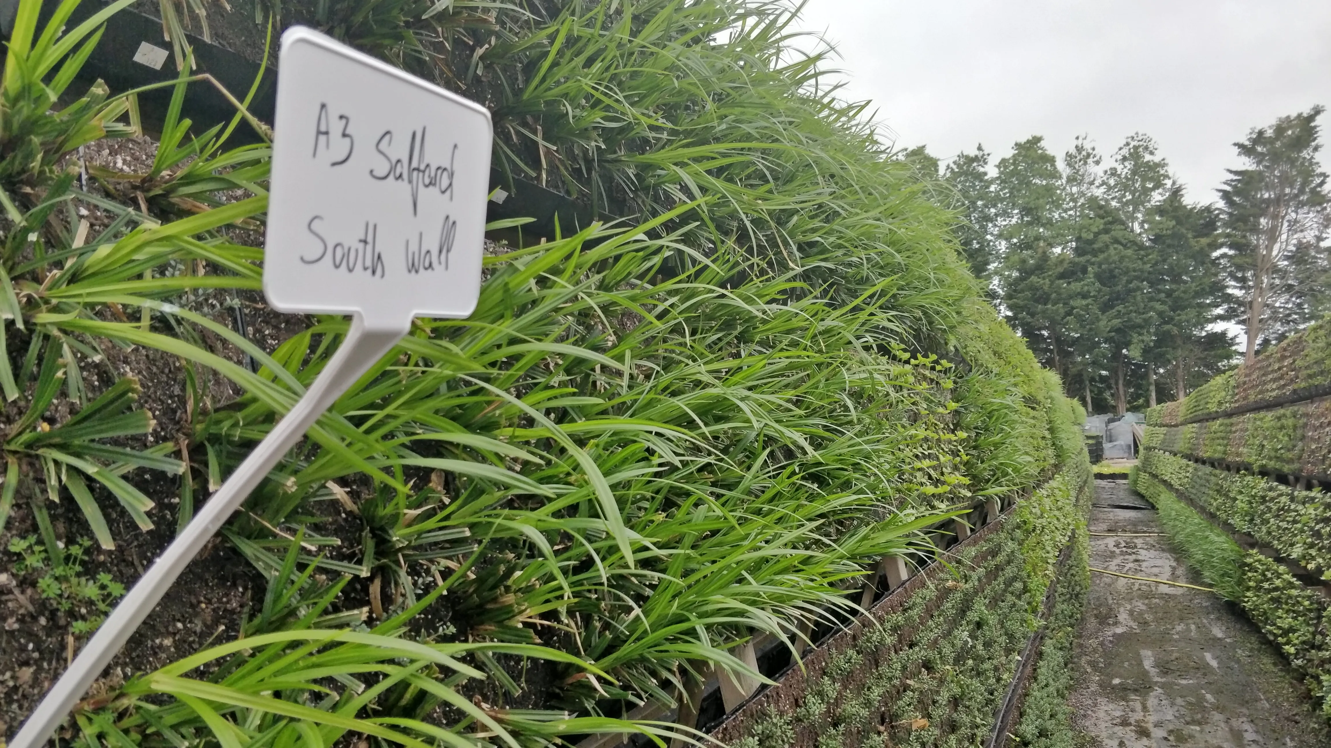 A3 Salford South Wall sign among lush green grass and garden pathway