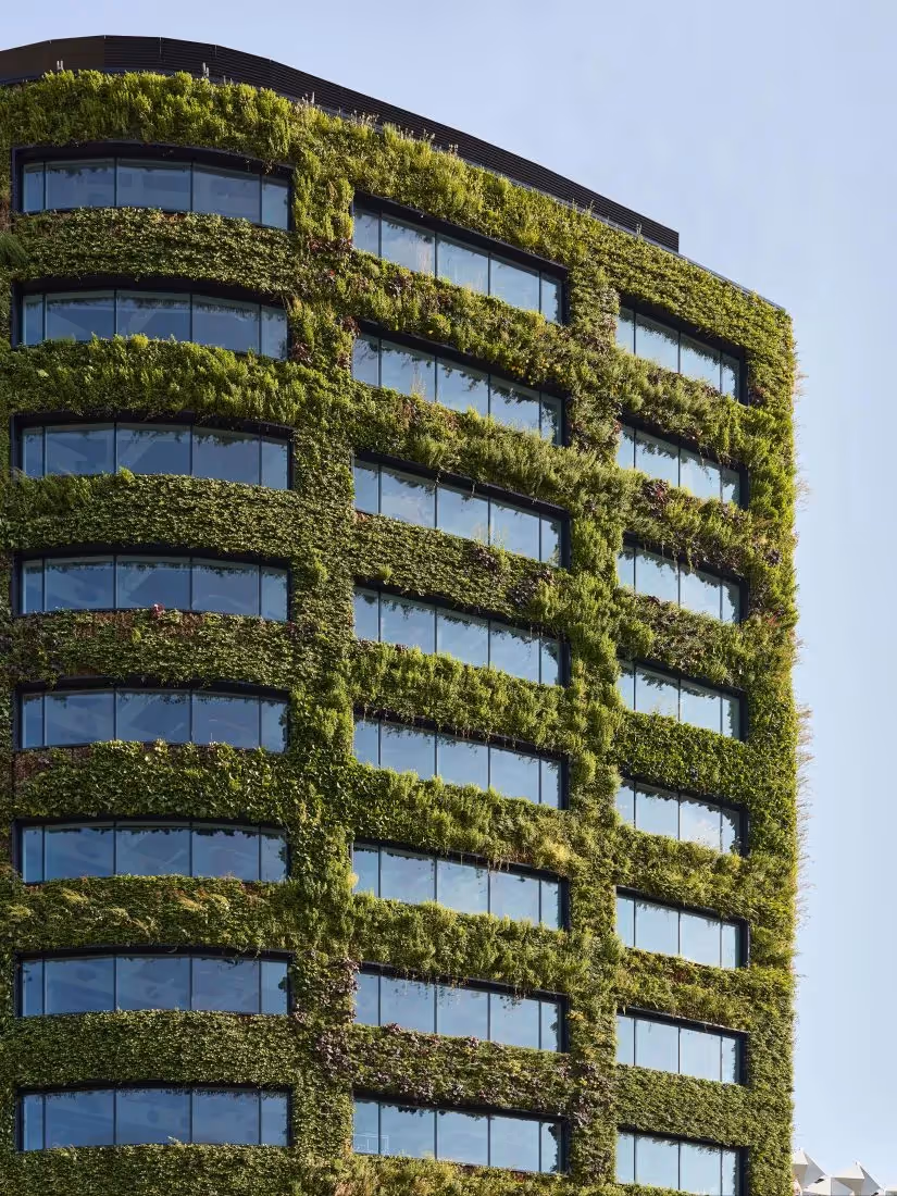Green living wall covering modern glass office building with lush vegetation