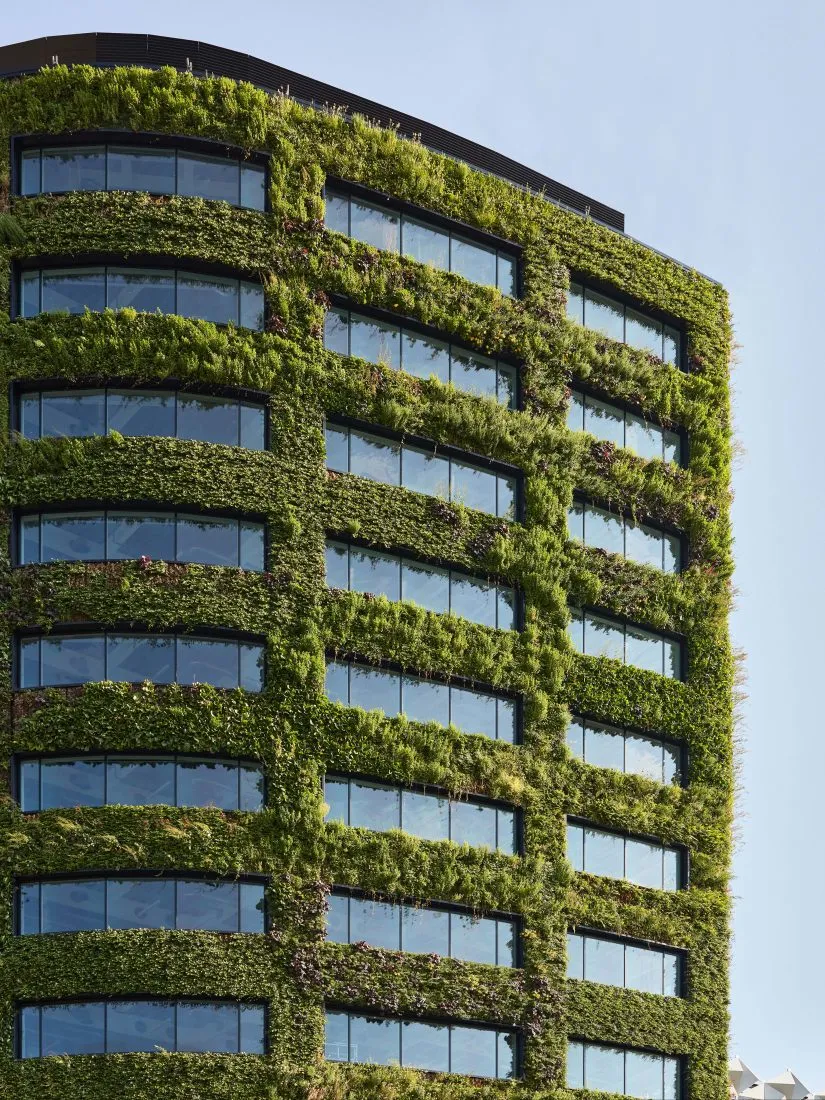 Green living wall covering modern glass office building with lush vegetation