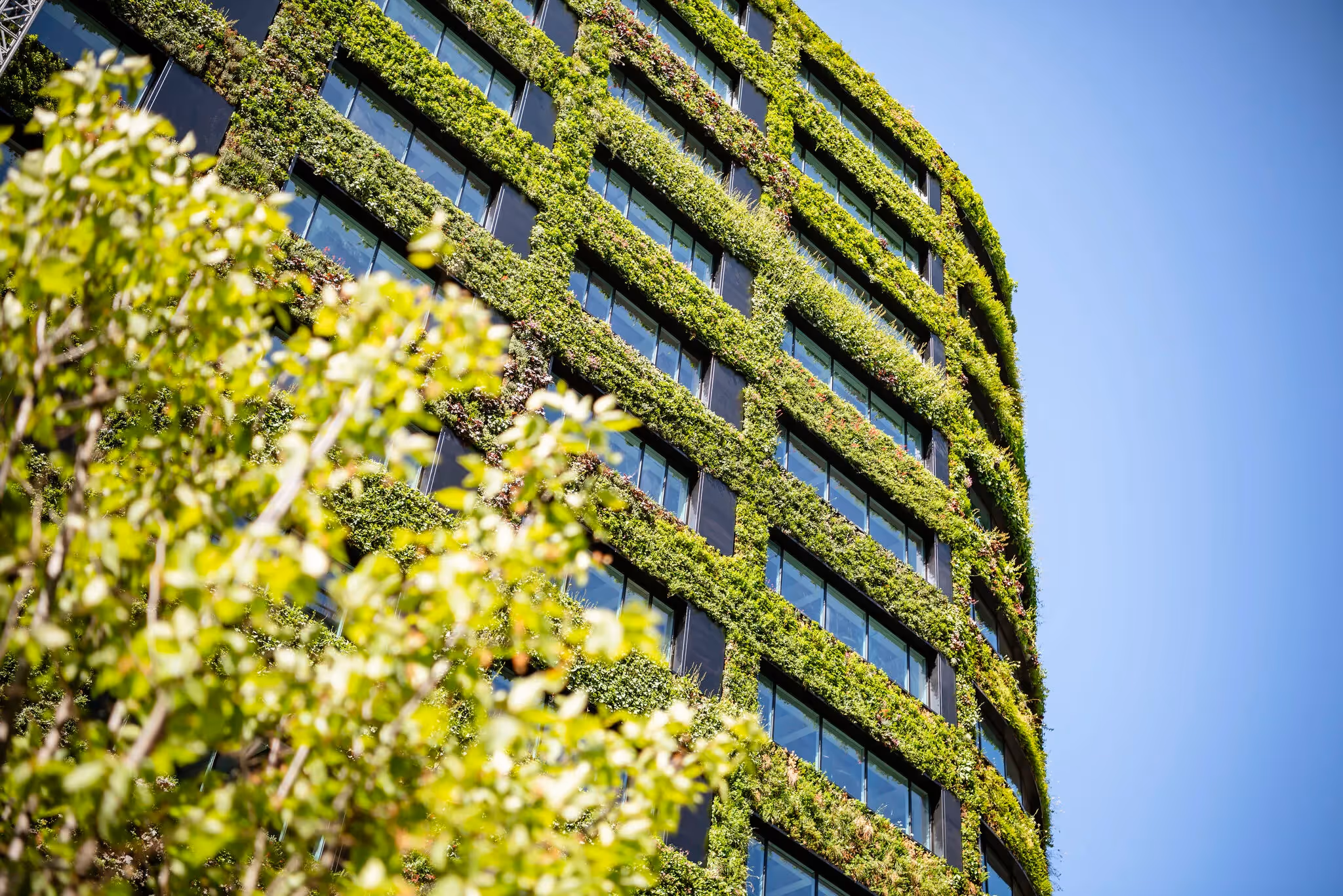 Modern building with green living wall covered in lush vegetation