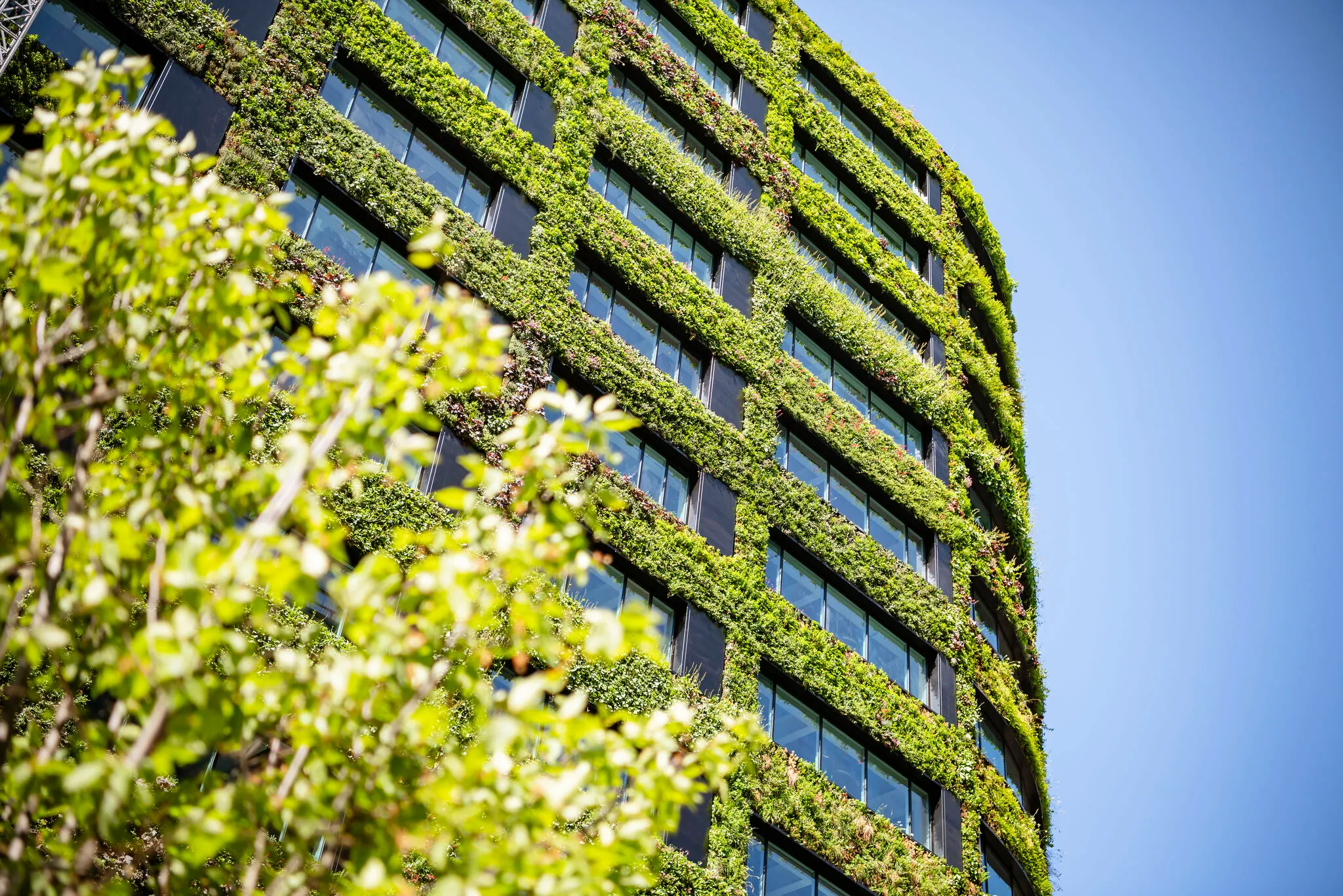 Modern building with green living wall covered in lush vegetation