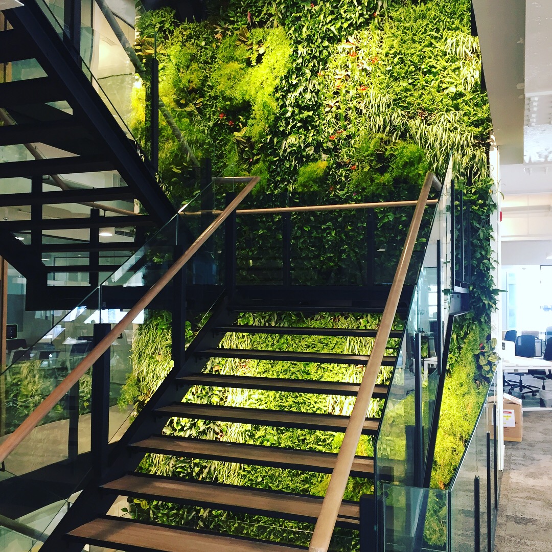 Modern staircase with glass panels surrounded by lush green vertical garden