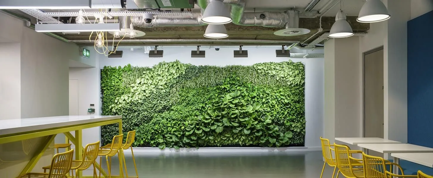 Green living wall with yellow chairs in modern office interior
