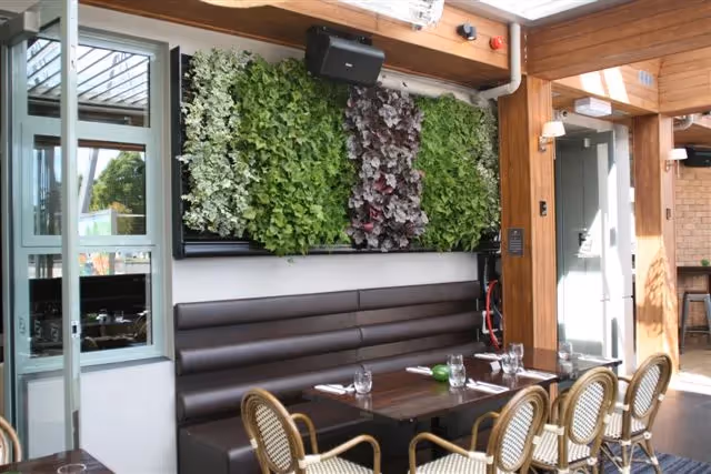 Living green wall in modern restaurant with wooden interior and seating