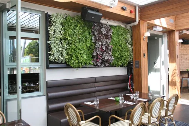 Living green wall in modern restaurant with wooden interior and seating