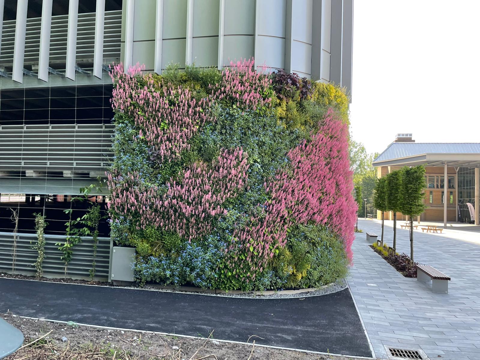 Vibrant vertical garden with pink and green plants on curved building wall