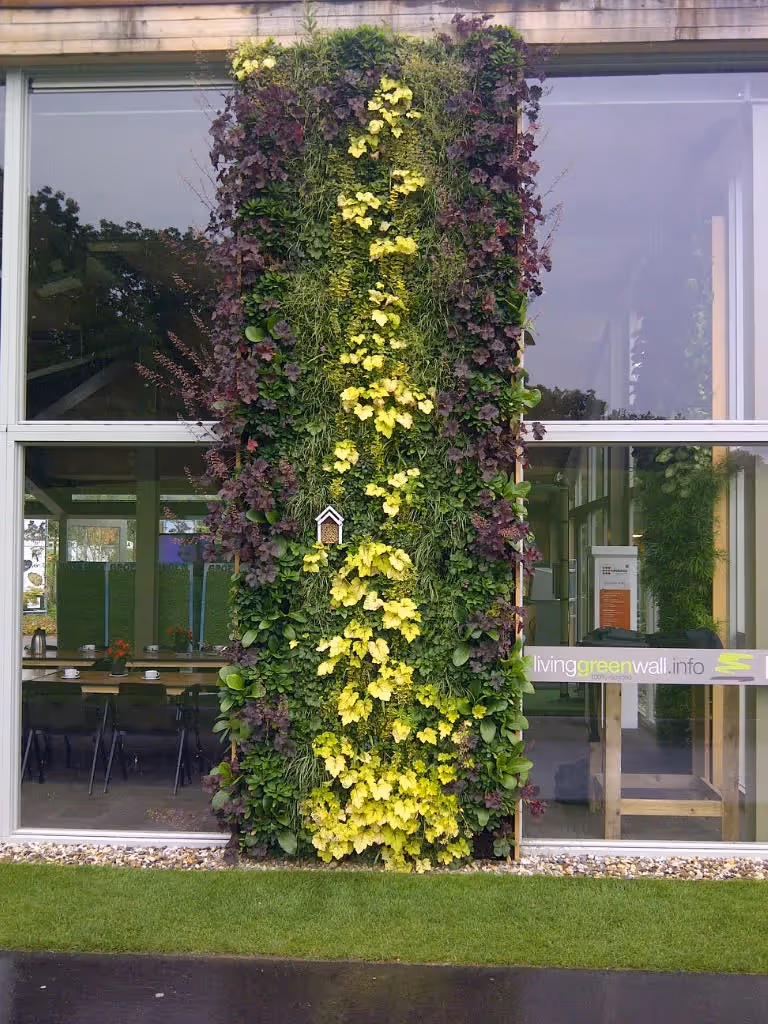 Vertical garden with yellow and green plants mounted on glass building wall