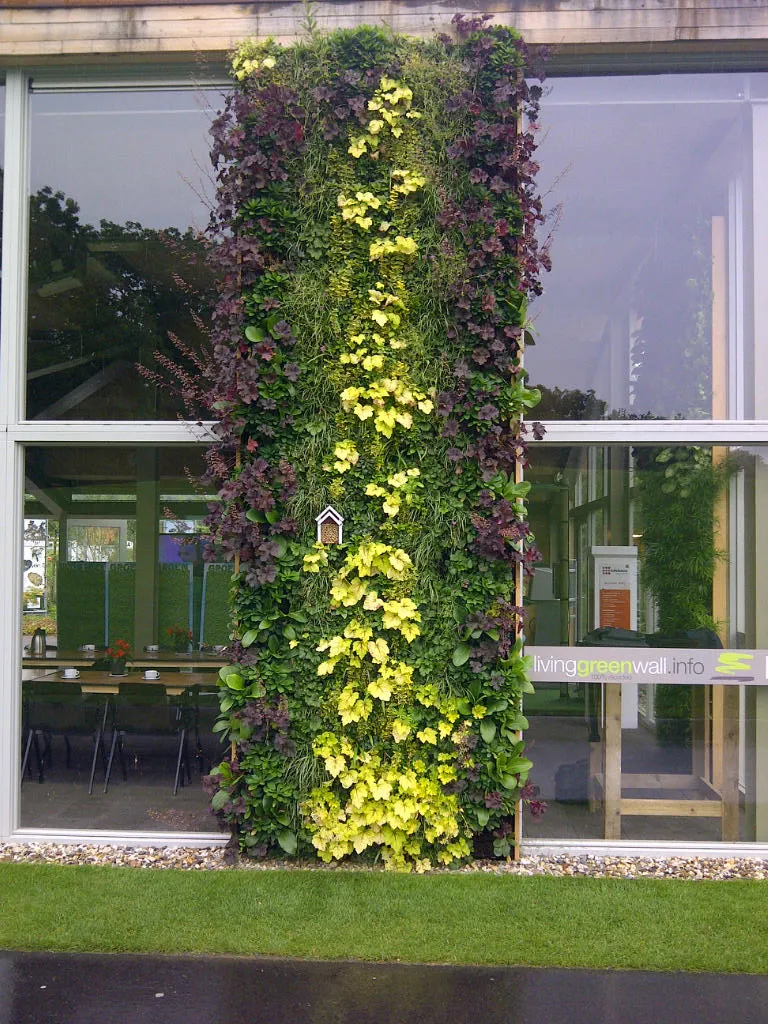 Vertical garden with yellow and green plants mounted on glass building wall