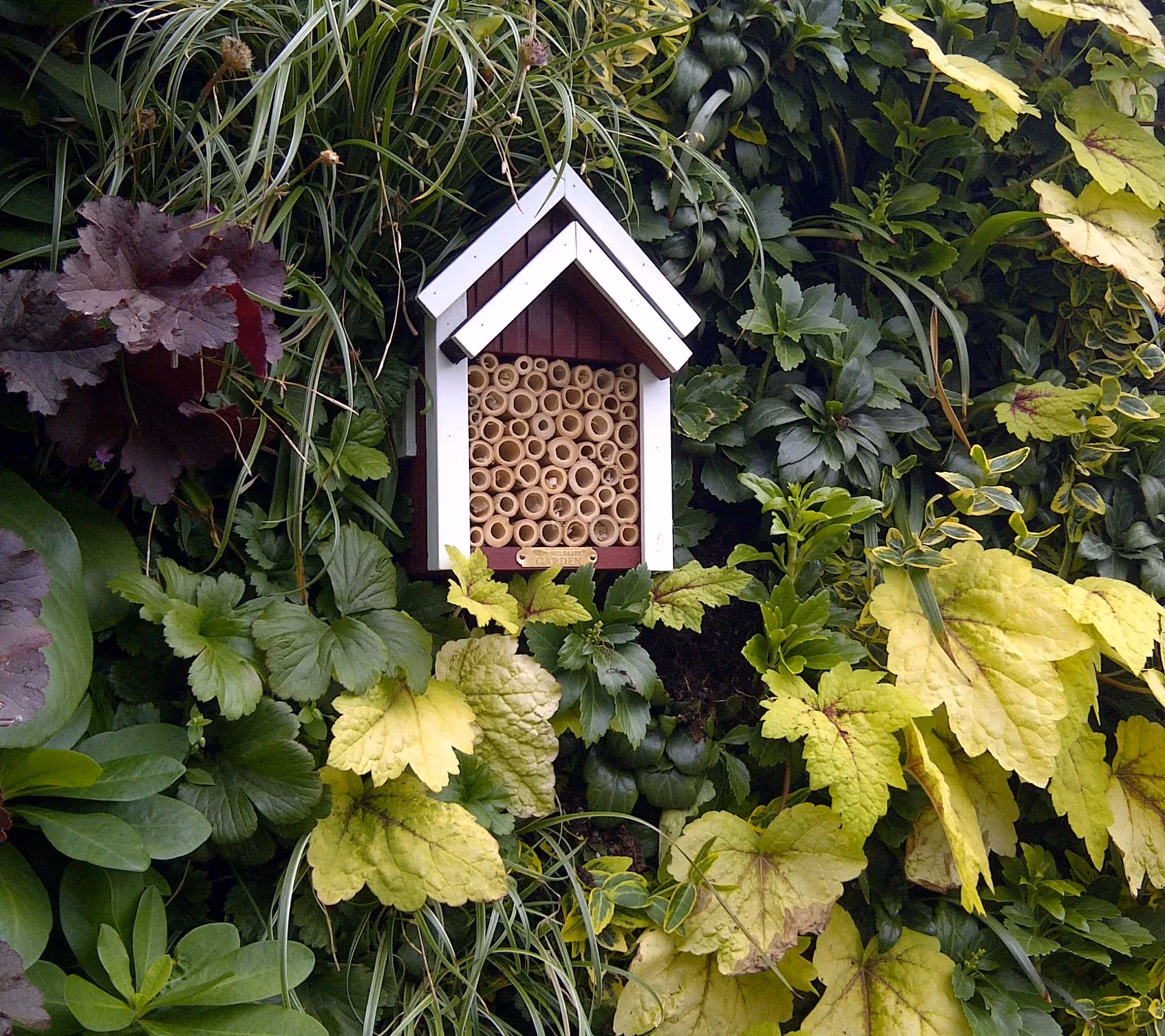 Small white and red bee hotel nestled among green and purple leaves