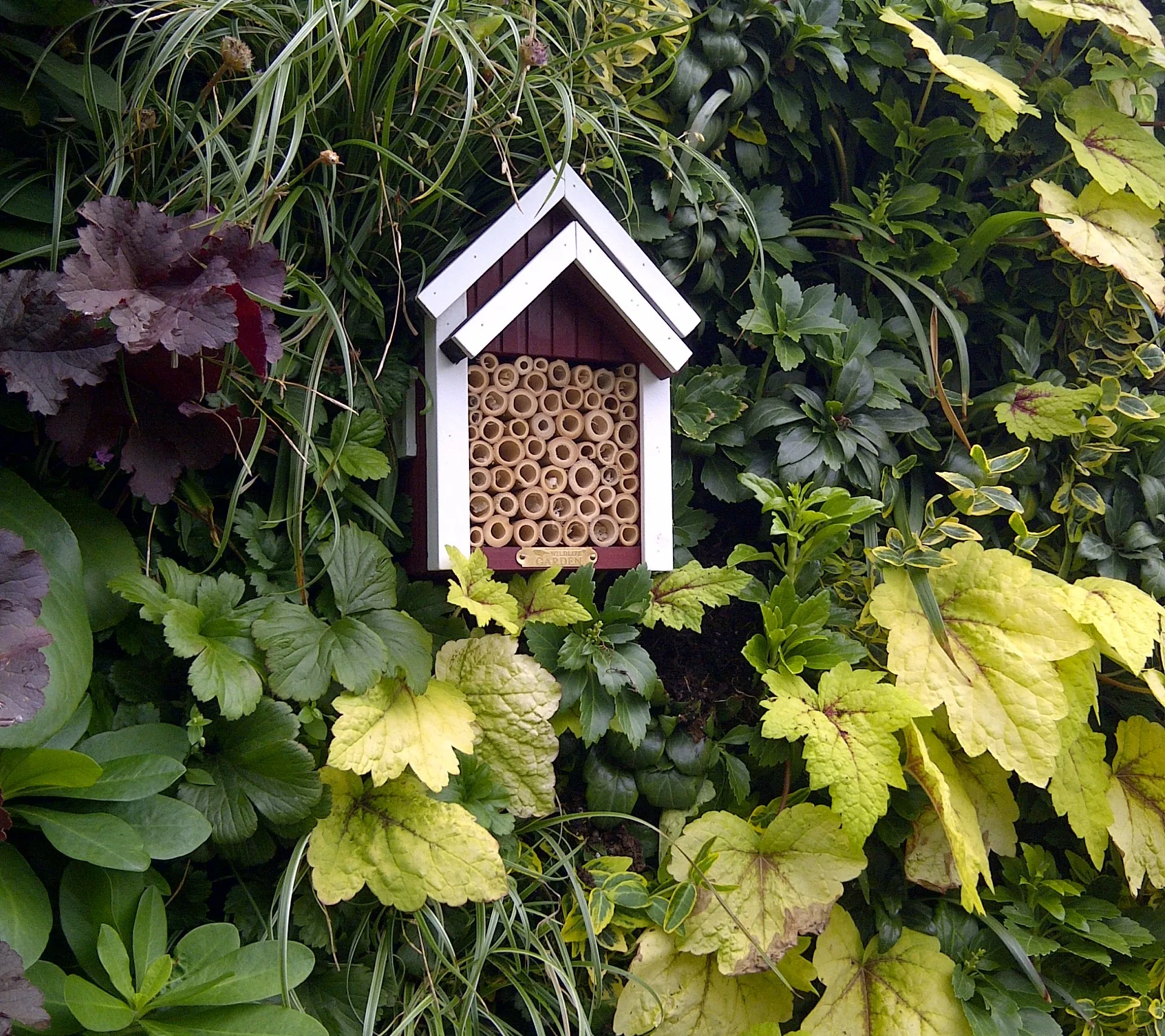 Small white and red bee hotel nestled among green and purple leaves