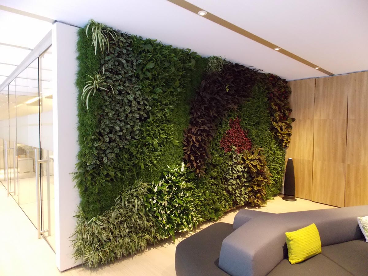 Green living wall with diverse plants in modern minimalist interior
