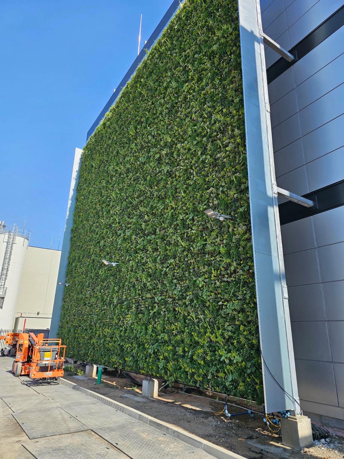 Large green vertical garden on building wall with orange lift machine