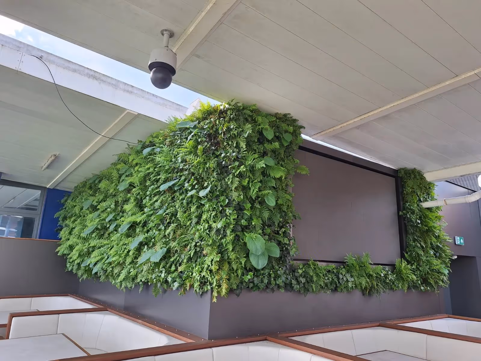 Lush green vertical garden wall with various plants in indoor space