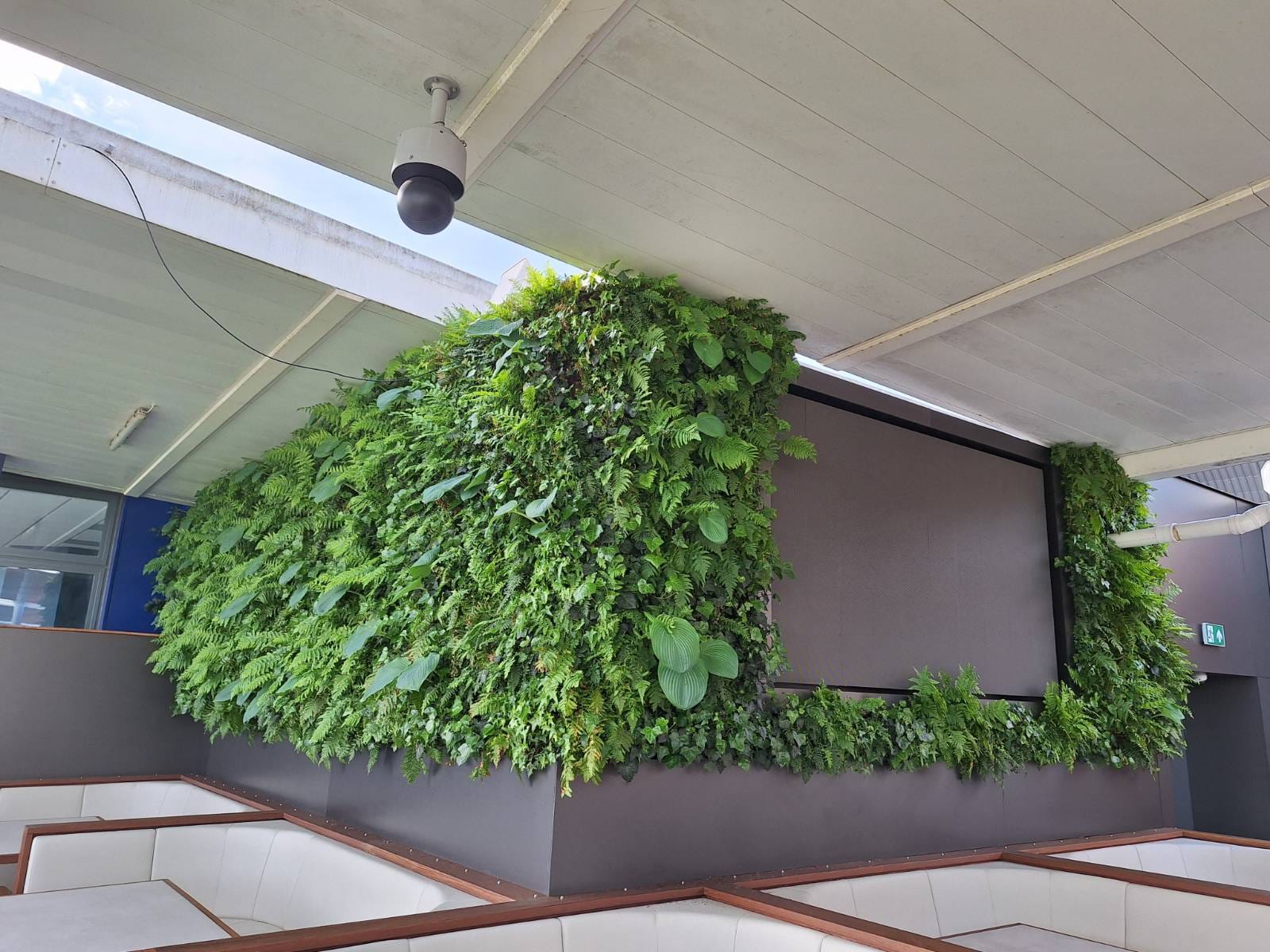 Lush green vertical garden wall with various plants in indoor space