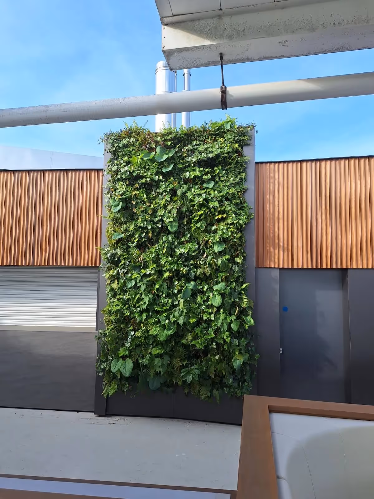 Green vertical garden wall with lush plants mounted on modern building exterior