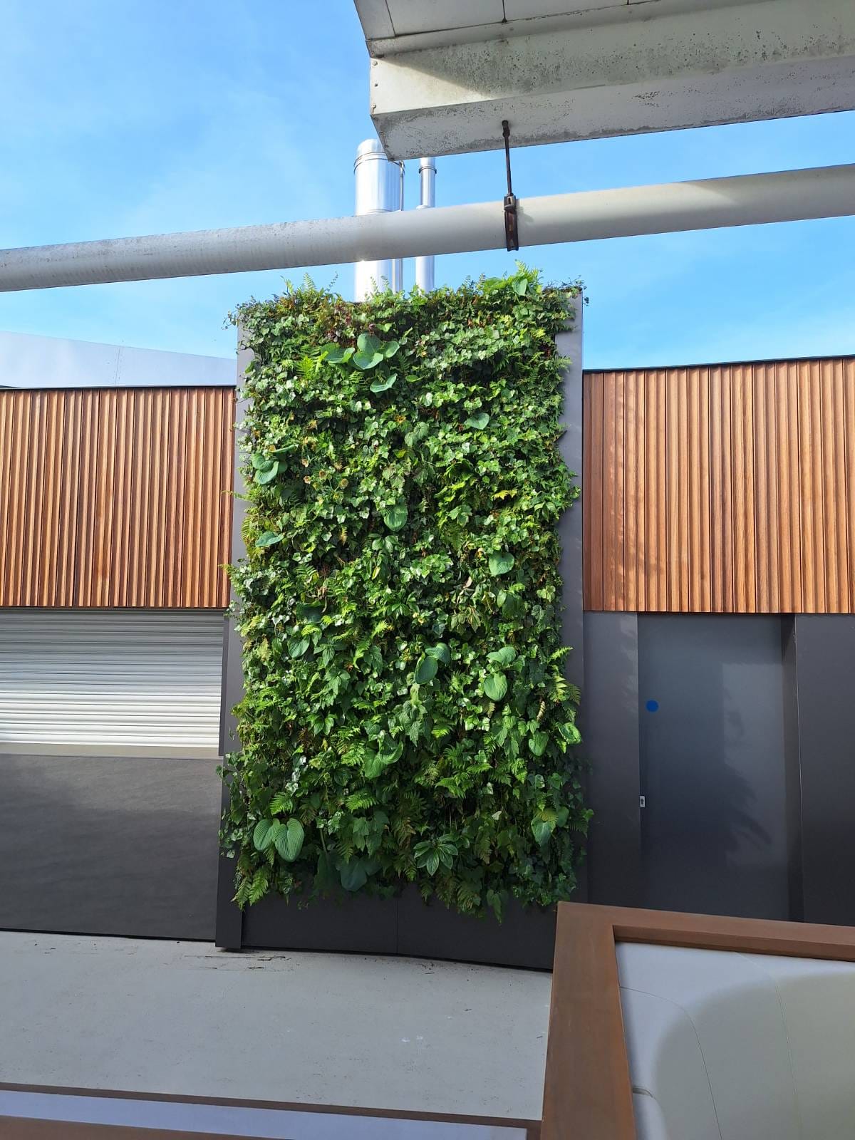Green vertical garden wall with lush plants mounted on modern building exterior