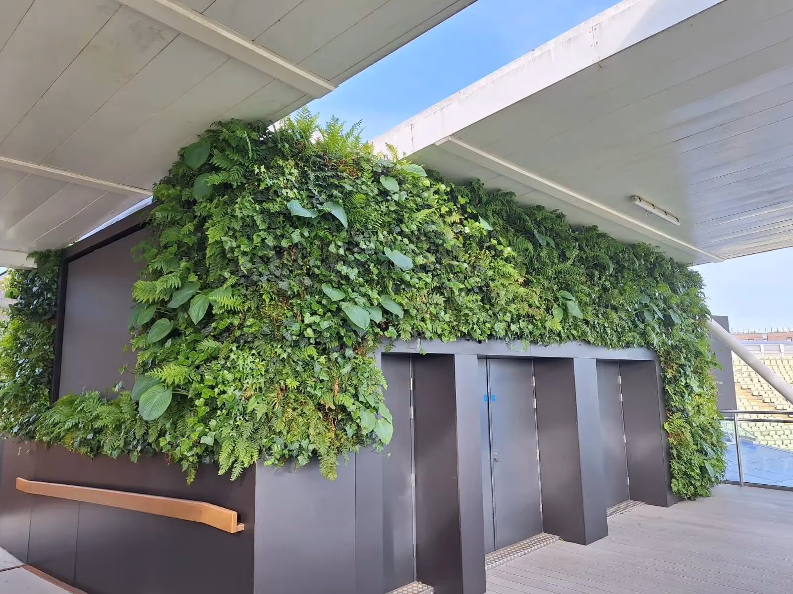 Green living wall covering doors and walls with lush ferns and plants